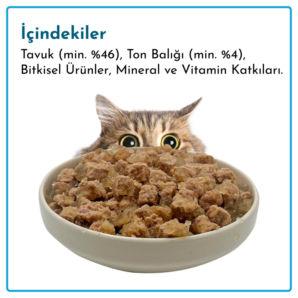 Rimba Sos İçinde Parçalı Ton Balıklı Kedi Konservesi 400gr (12 Adet)