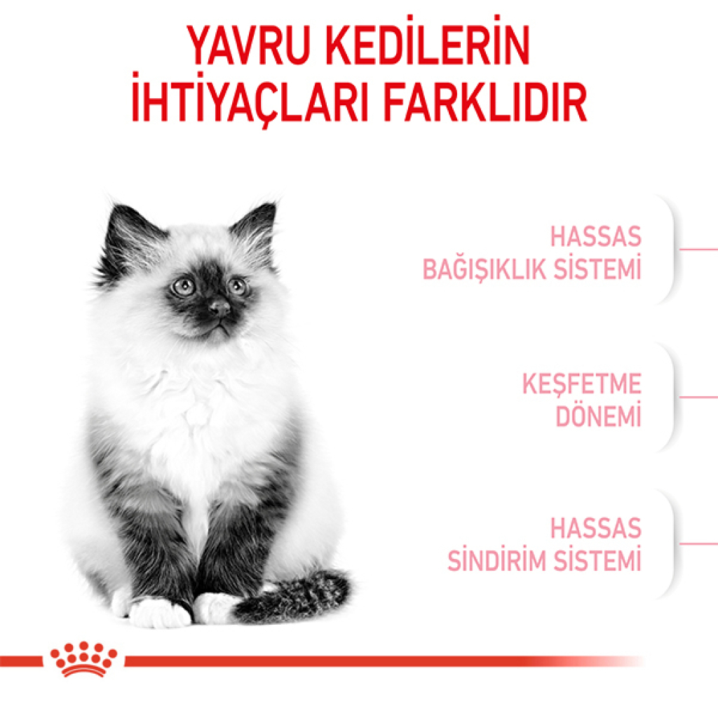 Royal Canin Kitten 36 Yavru Kedi Maması 2kg