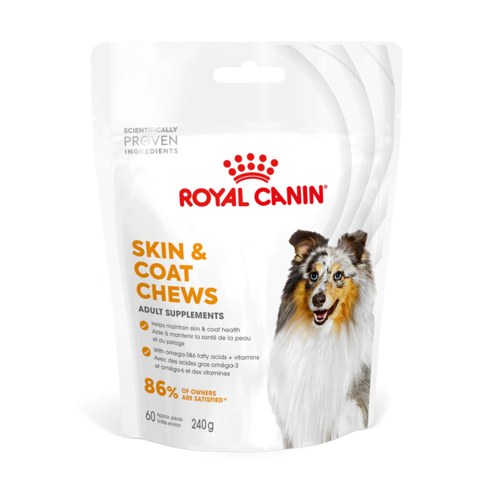 Royal Canin Deri ve Tüy Sağlığı Destekleyici Tamamlayıcı Yetişkin Köpek Ödül Maması (3 AL 2 ÖDE)