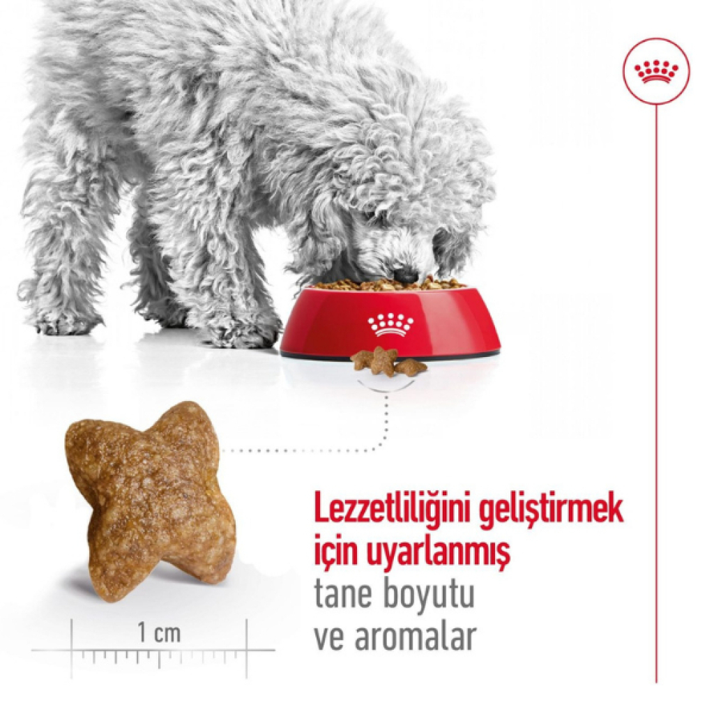 Royal Canin Mini Küçük Irk Yetişkin Köpek Maması 4kg