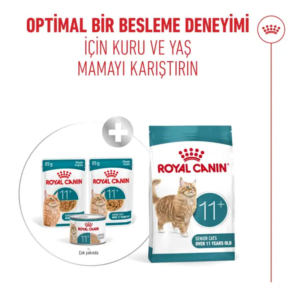 Royal Canin Ageing 11+ Sos İçinde Yaşlı Kedi Konservesi 85gr (12 Adet)