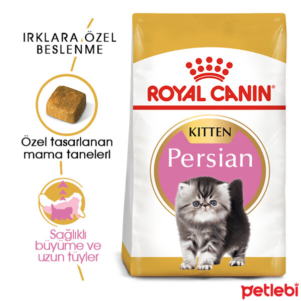 Royal Canin Kitten İran Kedileri için Yavru Kedi Maması 2kg