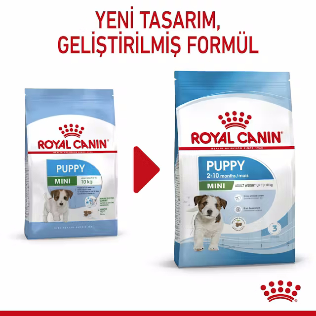 Royal Canin Mini Junior Küçük Irk Yavru Köpek Maması 4kg