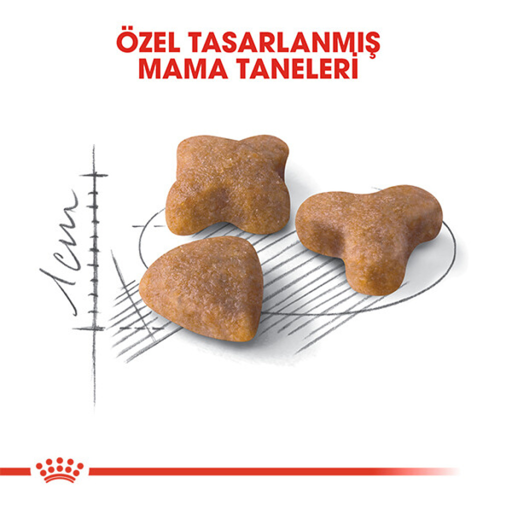 Royal Canin Sensible 33 Hassas Sindirim Sistemli Kediler İçin Yetişkin Kedi Maması 10kg