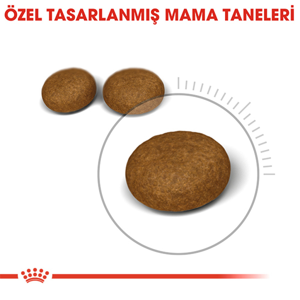 Royal Canin Hair&Skin Hassas Tüylü Kedi Maması 10kg