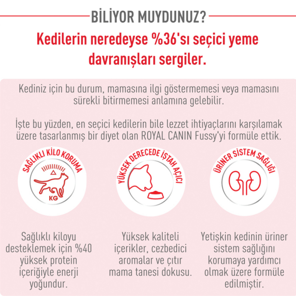 Royal Canin Fussy Exigent Seçici Kedilere Özel Kedi Maması 10kg