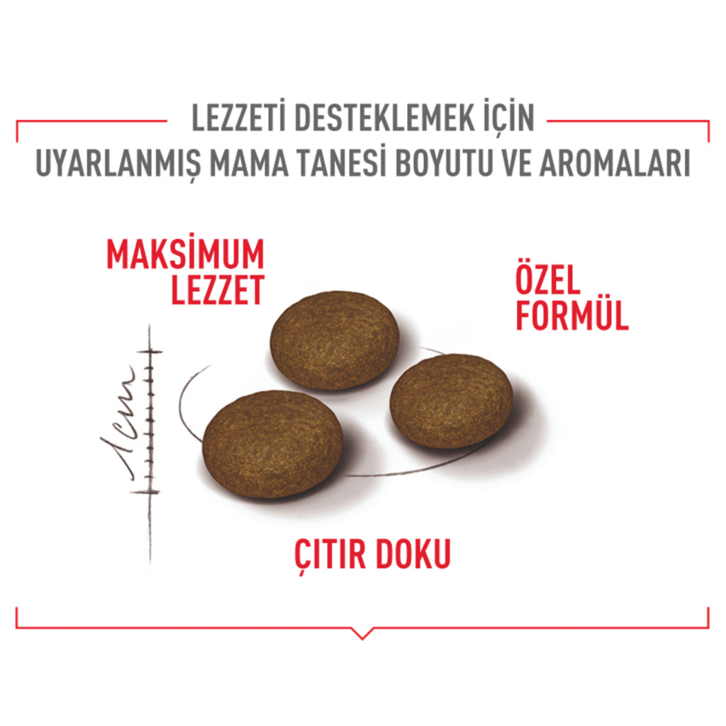 Royal Canin Fussy Exigent Seçici Kedilere Özel Kedi Maması 10kg