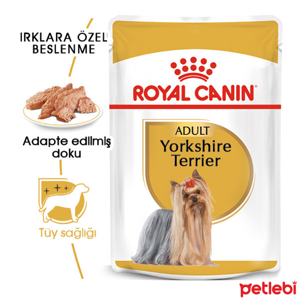 Royal Canin Terrier Yetişkin Köpek Konservesi 85gr