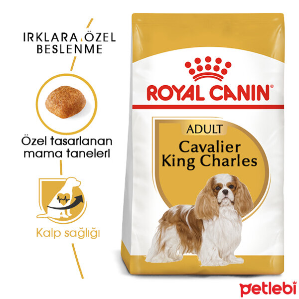 Royal Canin Cavalier King Charles 27 Yetişkin Köpek Maması 3kg