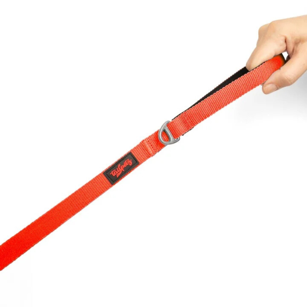 Tailpetz Match Köpek Gezdirme Kayışı 140cm/2cm (Neon Turuncu) [M]