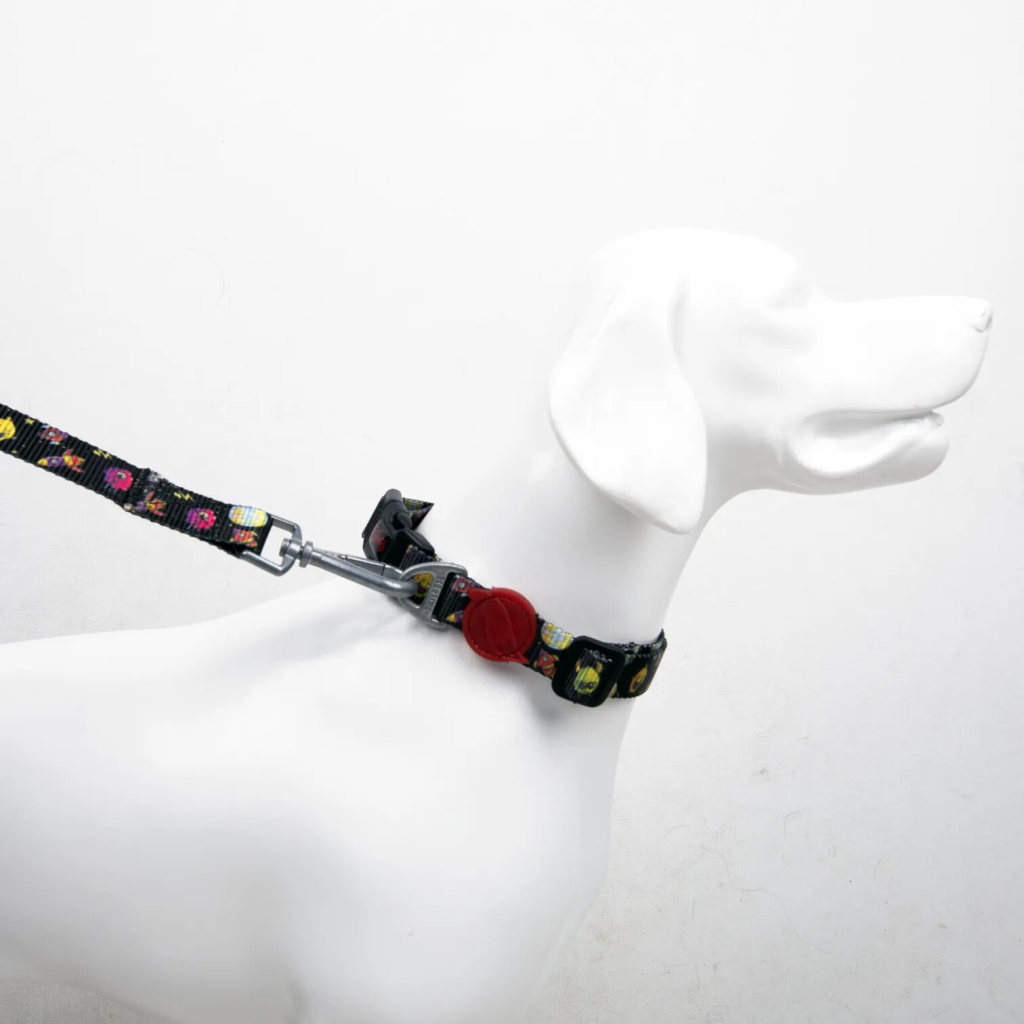 Tailpetz Space Collar Köpek Boyun Tasması [XS]