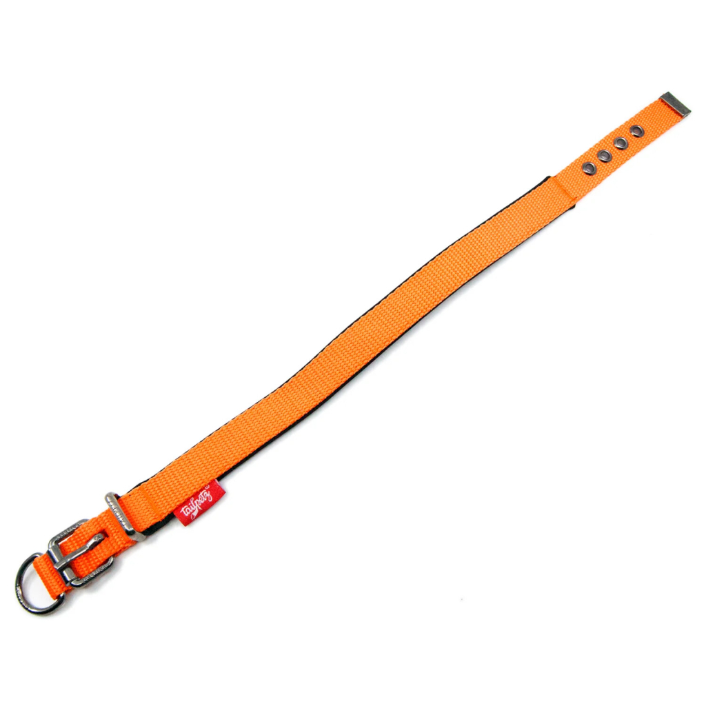 Tailpetz Comfy Yumuşak Dokulu Köpek Boyun Tasması (Turuncu) [M]