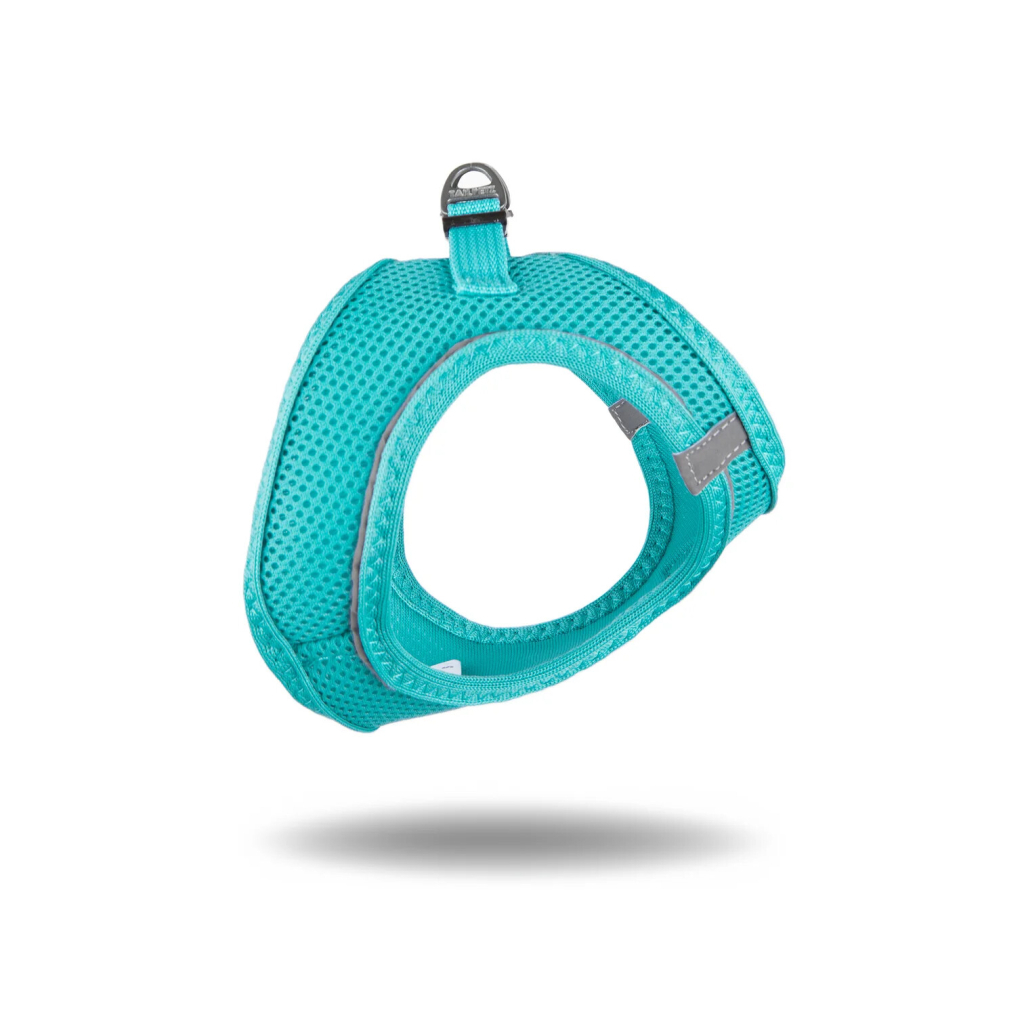 Tailpetz Air-Mesh Küçük Irk Köpek Göğüs Tasması 24-28cm (Turkuaz) [3XS]