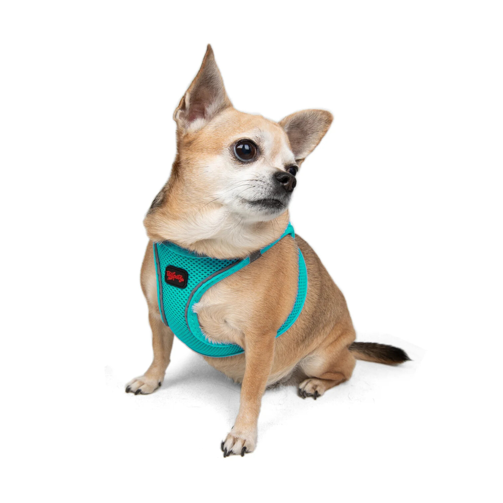 Tailpetz Air-Mesh Küçük Irk Köpek Göğüs Tasması 24-28cm (Turkuaz) [3XS]