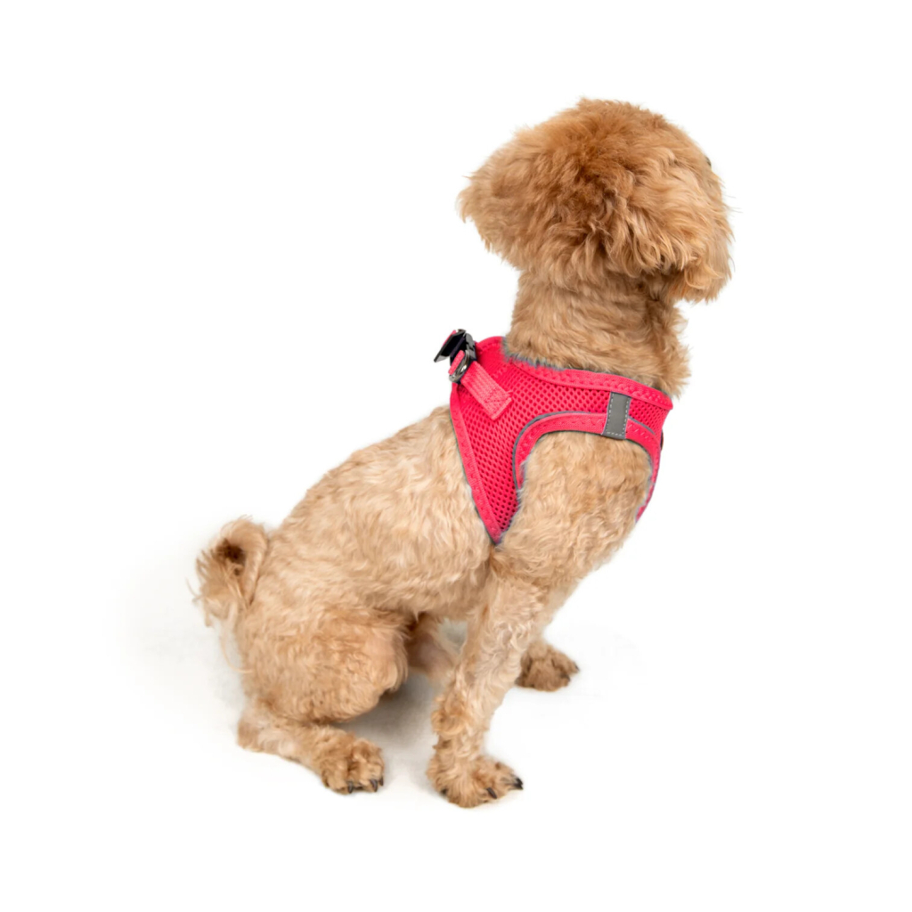 Tailpetz Air-Mesh Küçük Irk Köpek Göğüs Tasması 28-32cm (Neon Pembe) [2XS]