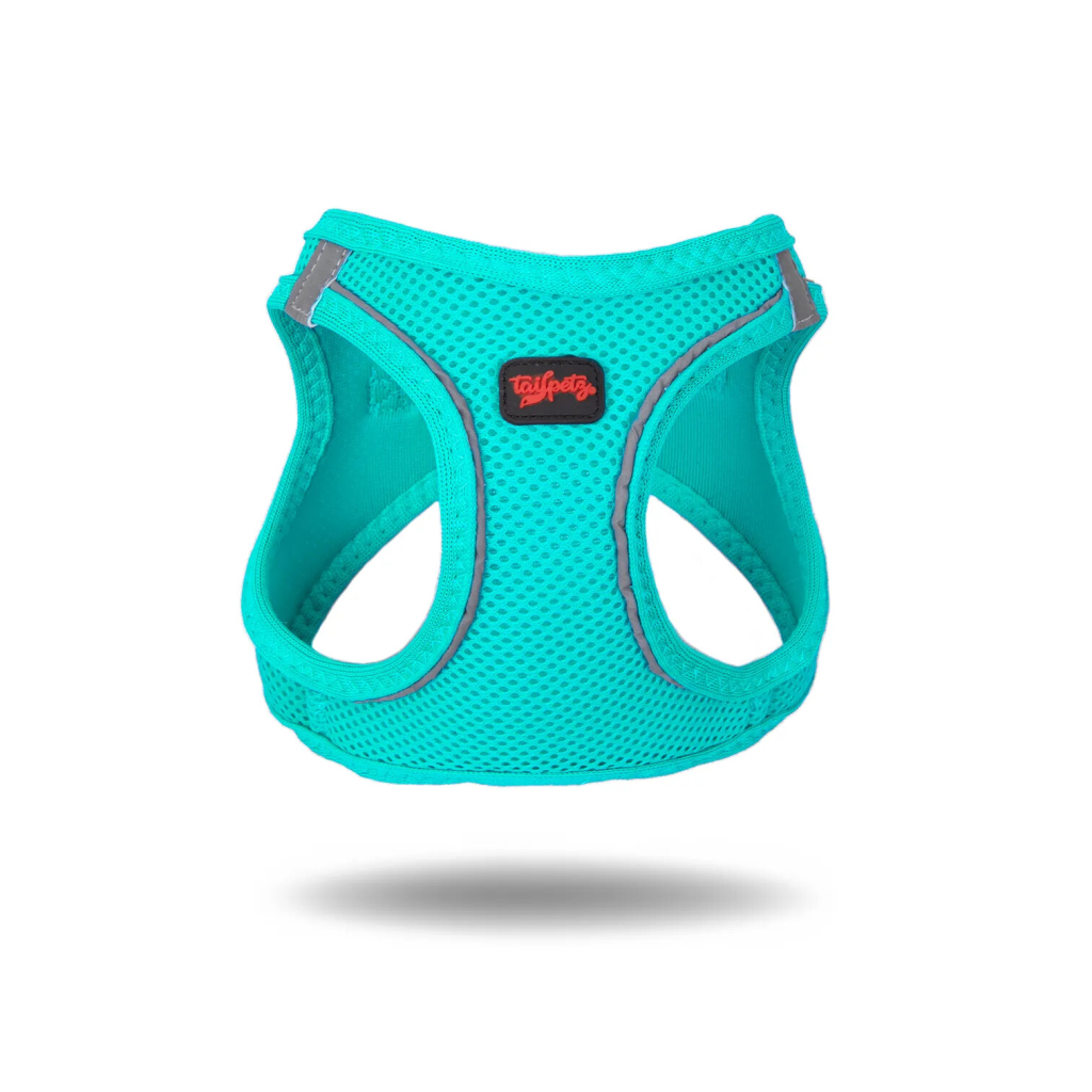 Tailpetz Air-Mesh Küçük Irk Köpek Göğüs Tasması 32-36cm (Turkuaz) [XS]
