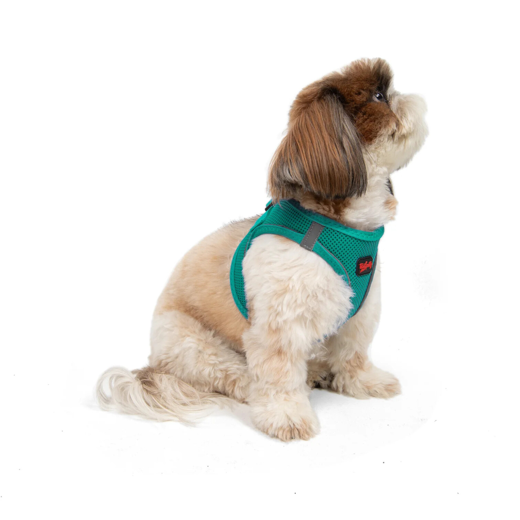 Tailpetz Air-Mesh Küçük Irk Köpek Göğüs Tasması 36-44cm (Zümrüt Yeşili) [S]