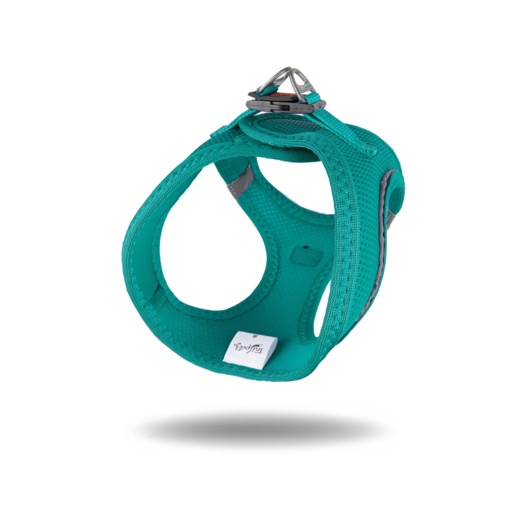 Tailpetz Air-Mesh Küçük Irk Köpek Göğüs Tasması 44-48cm (Zümrüt Yeşili) [M]
