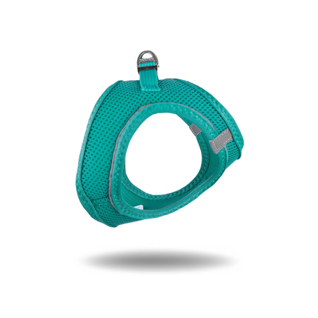 Tailpetz Air-Mesh Küçük Irk Köpek Göğüs Tasması 44-48cm (Zümrüt Yeşili) [M]