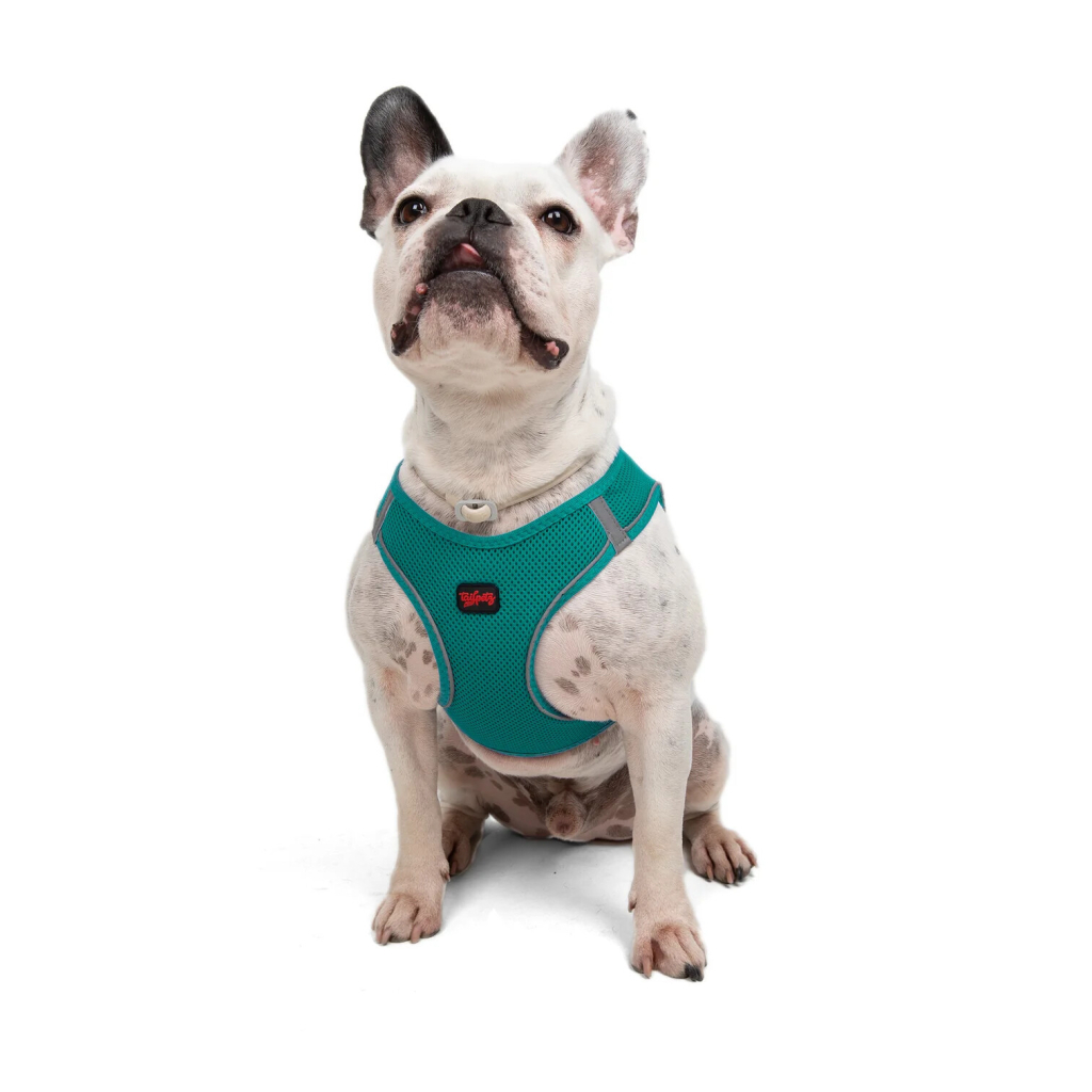 Tailpetz Air-Mesh Küçük Irk Köpek Göğüs Tasması 48-54cm (Zümrüt Yeşili) [L]