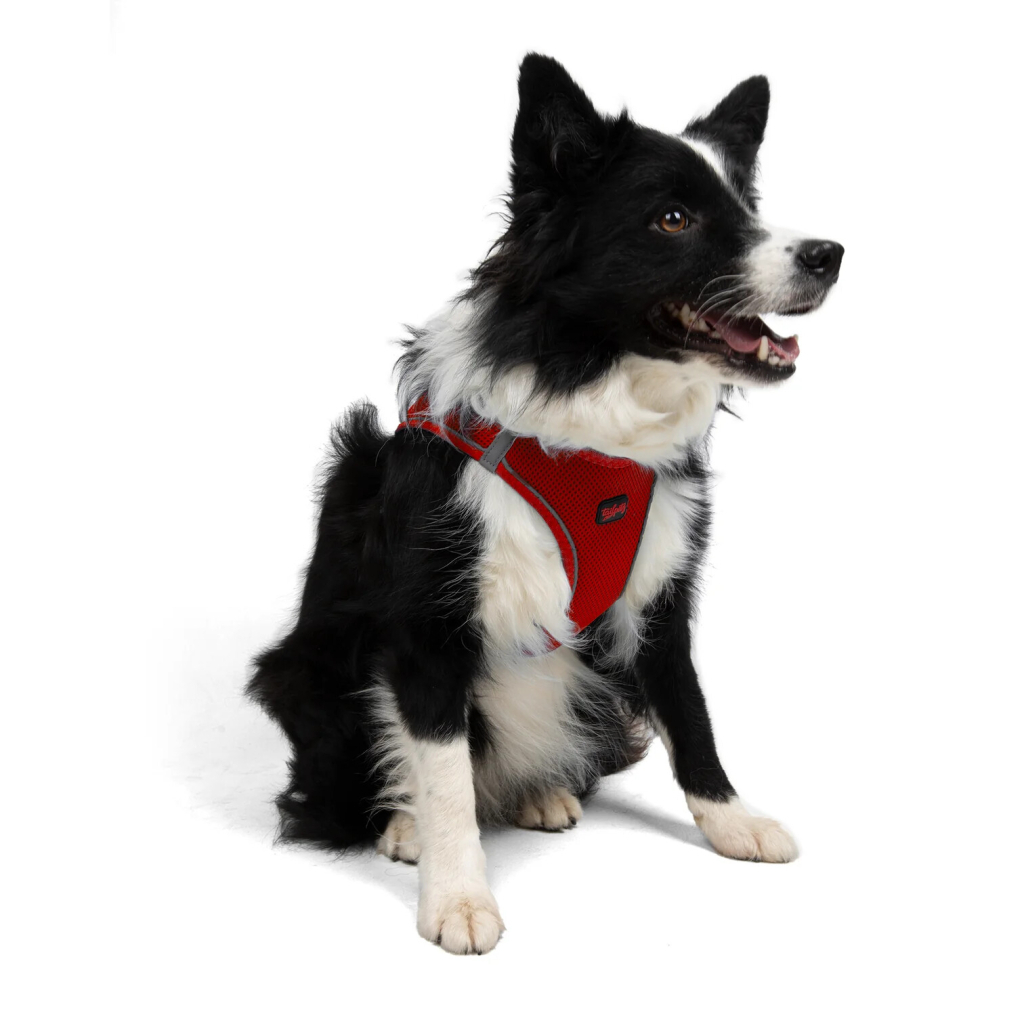 Tailpetz Air-Mesh Orta Irk Köpek Göğüs Tasması 54-60cm (Kırmızı) [XL]
