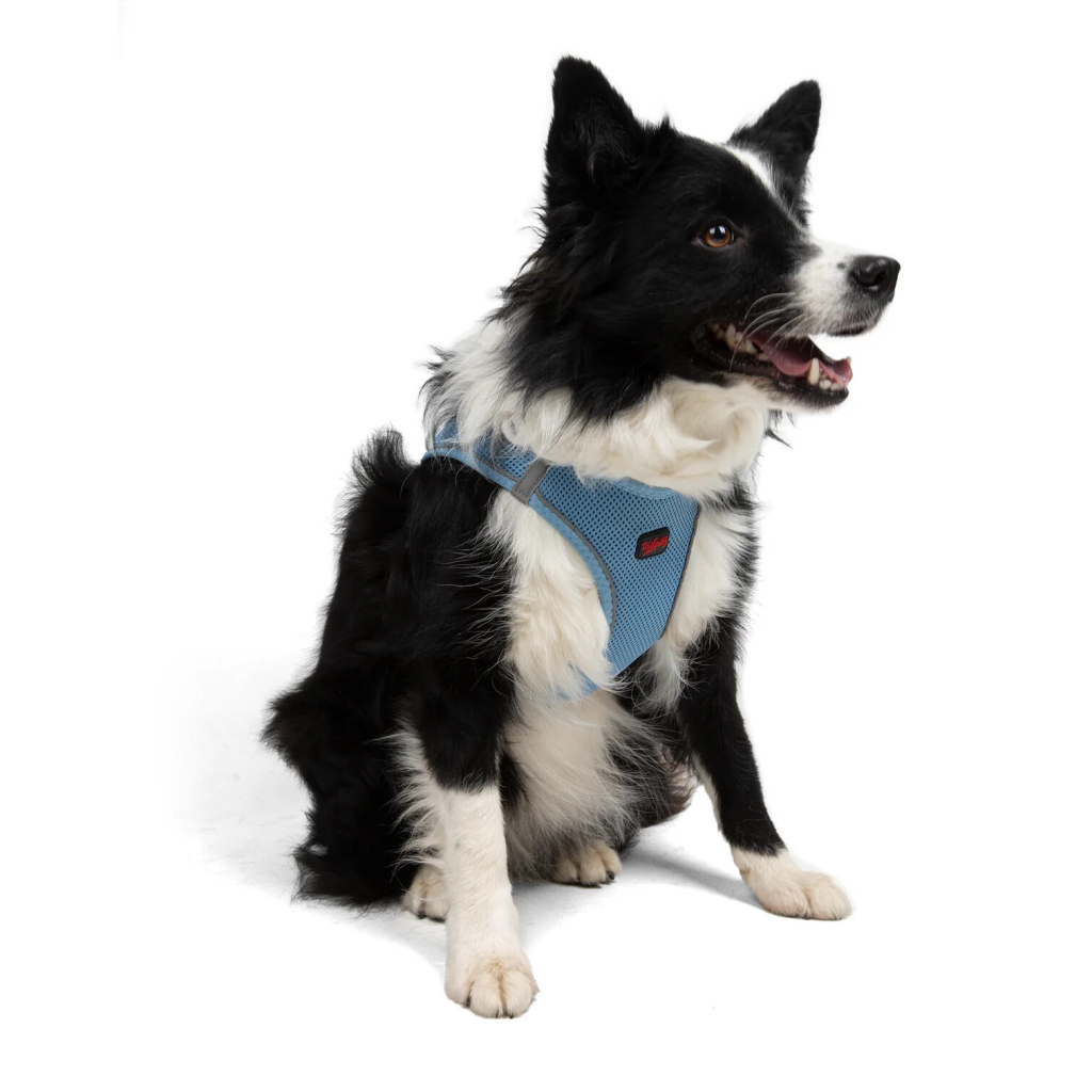 Tailpetz Air-Mesh Orta Irk Köpek Göğüs Tasması 54-60cm (Açık Mavi) [XL]