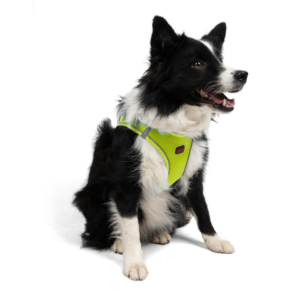 Tailpetz Air-Mesh Orta Irk Köpek Göğüs Tasması 54-60cm (Neon Sarı) [XL]