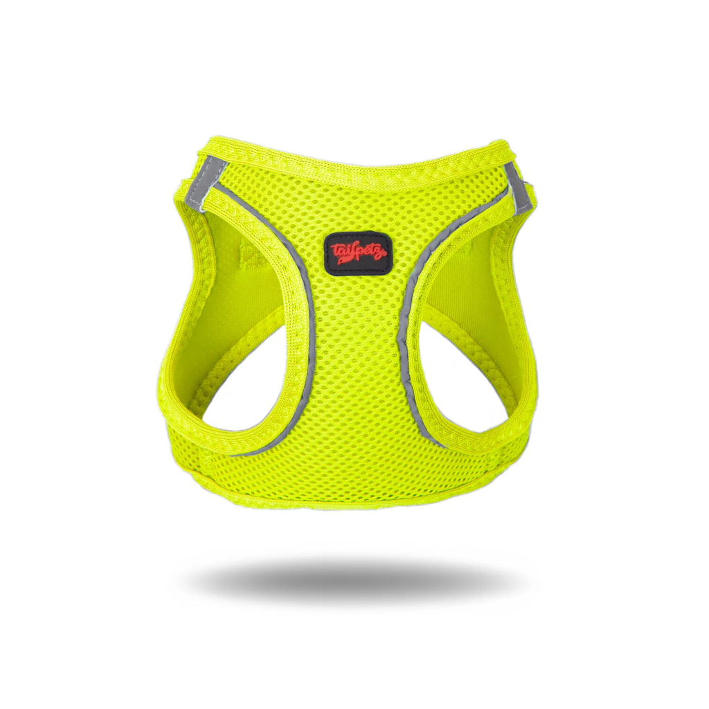 Tailpetz Air-Mesh Küçük Irk Köpek Göğüs Tasması 48-54cm (Neon Sarı) [L]