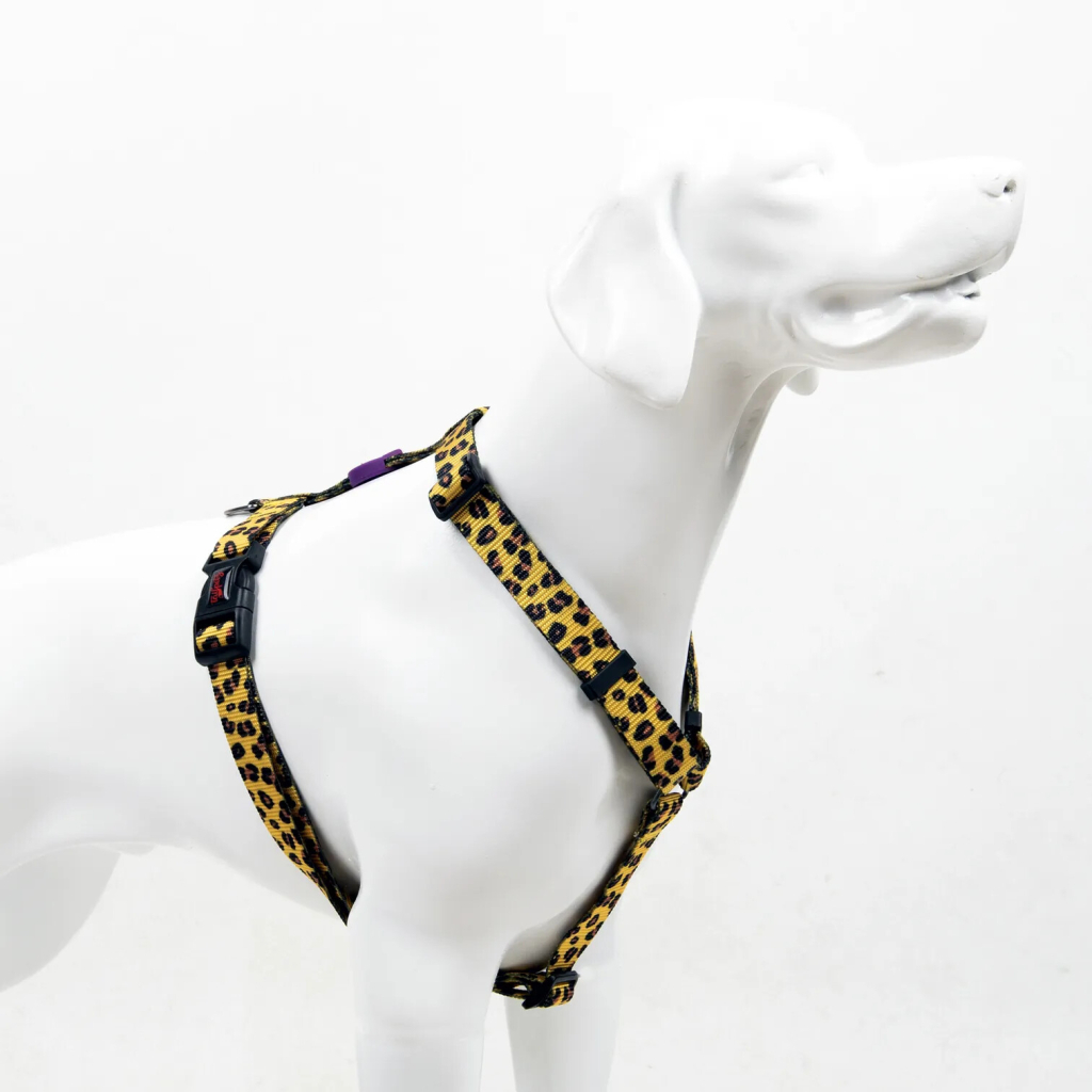 Tailpetz Harness Leopar Küçük Irk Köpek Göğüs Tasması 32-51cm [S]