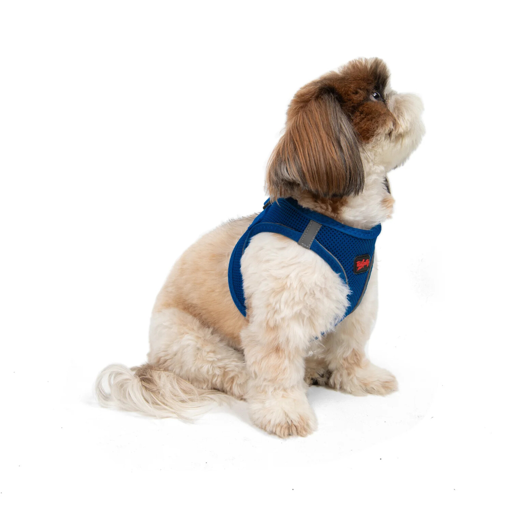 Tailpetz Air-Mesh Küçük Irk Köpek Göğüs Tasması 36-44cm [S] (Saks Mavi)