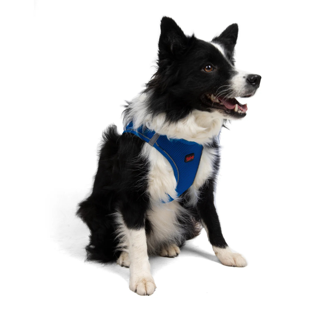 Tailpetz Air-Mesh Orta Irk Köpek Göğüs Tasması 54-60cm (Saks Mavi) [XL]