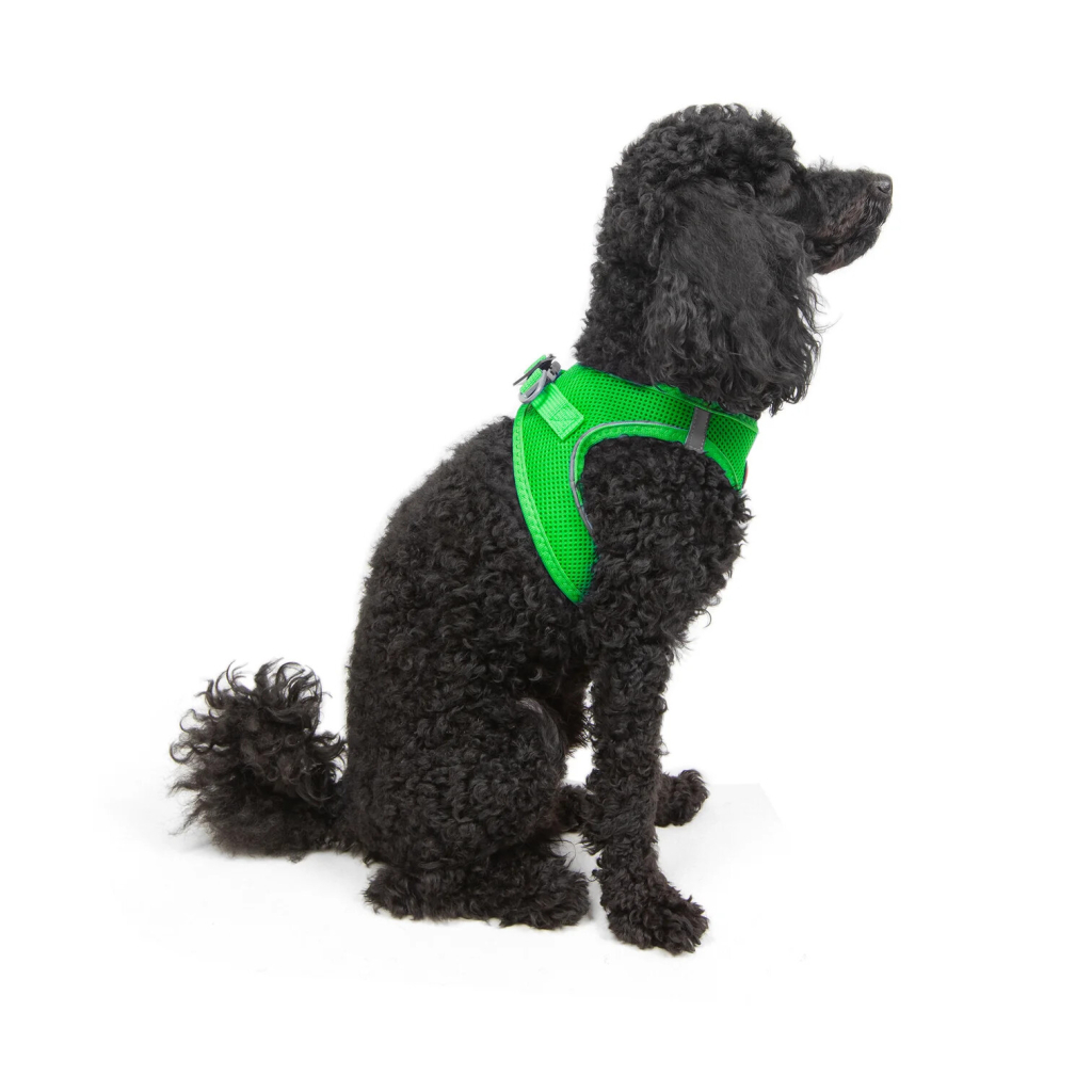 Tailpetz Air-Mesh Küçük Irk Köpek Göğüs Tasması 32-36cm (Neon Yeşil) [XS]