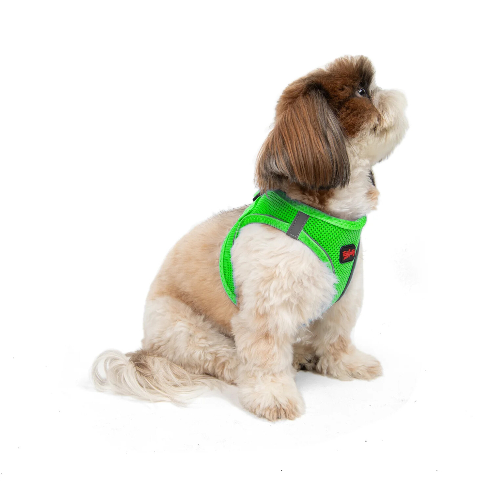 Tailpetz Air-Mesh Küçük Irk Köpek Göğüs Tasması 36-44cm [S] (Neon Yeşil)