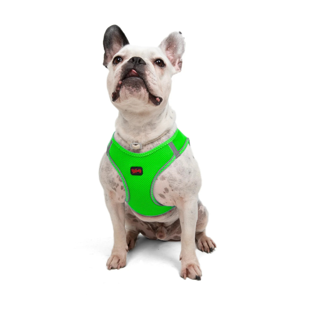 Tailpetz Air-Mesh Küçük Irk Köpek Göğüs Tasması 48-54cm (Neon Yeşil) [L]
