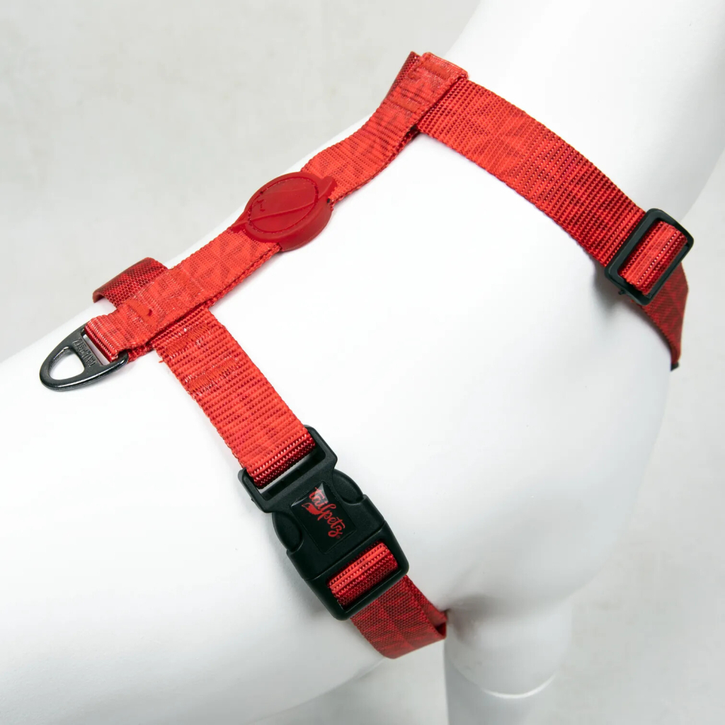 Tailpetz Prısm H-Harness Köpek Göğüs Tasması [L]