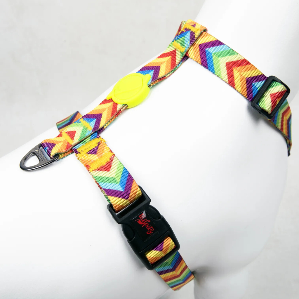 Tailpetz H-Tipi Köpek Göğüs Tasması (Gökkuşağı) [S]