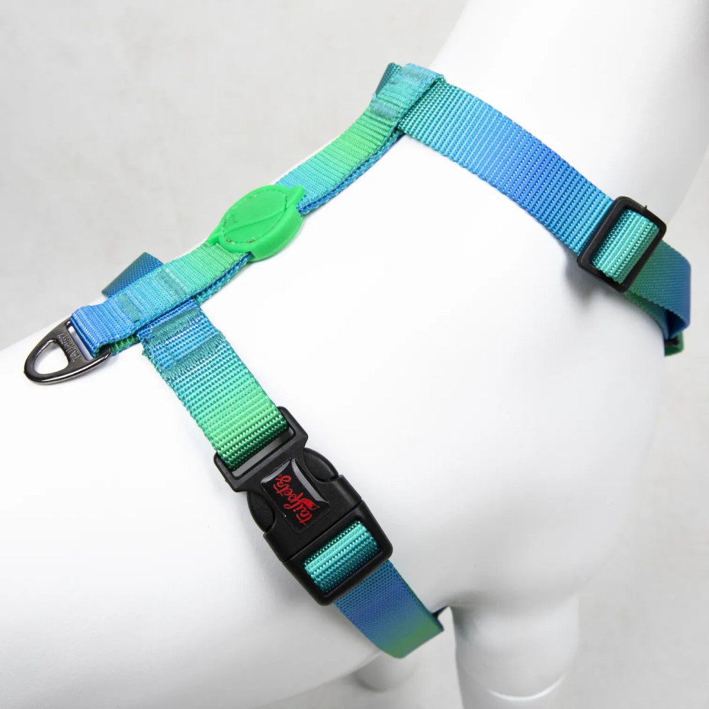 Tailpetz Amazon H-Harness Köpek Göğüs Tasması [XS]