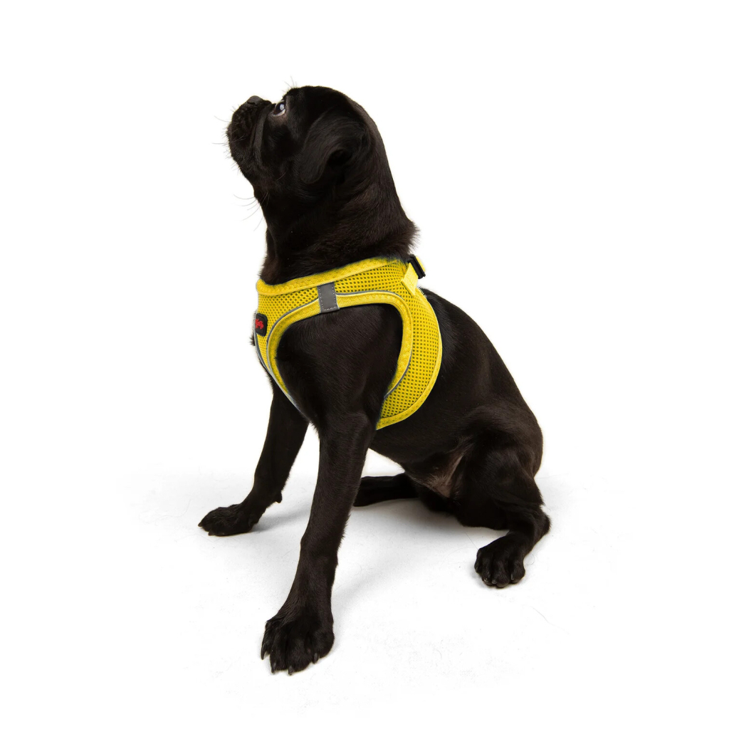 Tailpetz Air-Mesh Harness Köpek Göğüs Tasması (Sarı) [M]