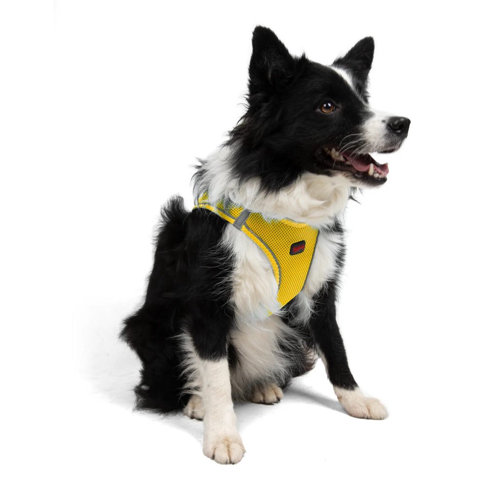 Tailpetz Air-Mesh Harness Köpek Göğüs Tasması (Sarı) [XL]