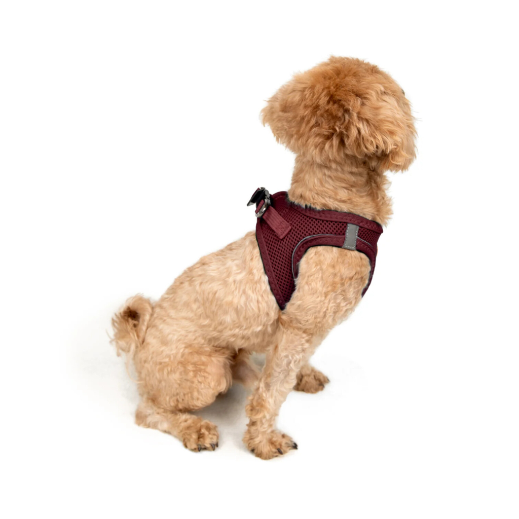Tailpetz Air-Mesh Harness Claret Köpek Göğüs Tasması [3XS]