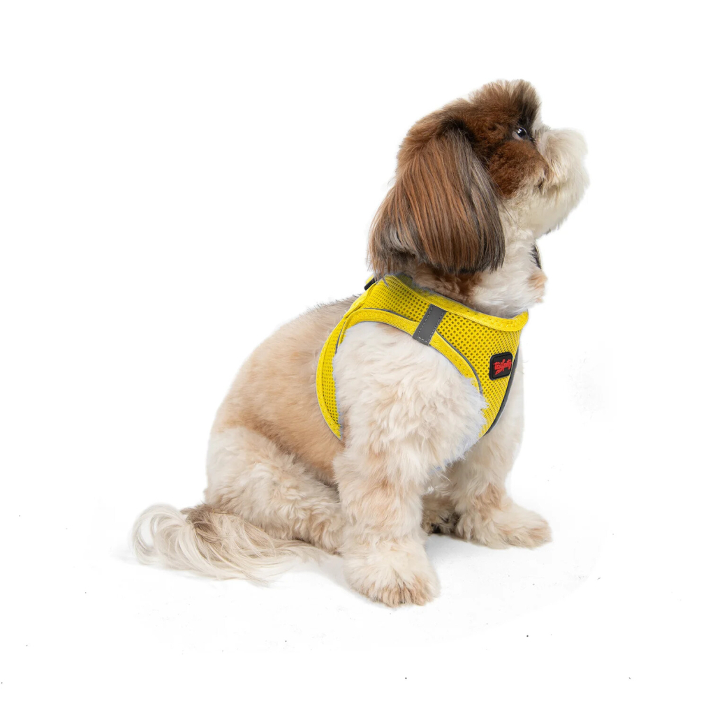 Tailpetz Air-Mesh Harness Köpek Göğüs Tasması (Sarı) [S]