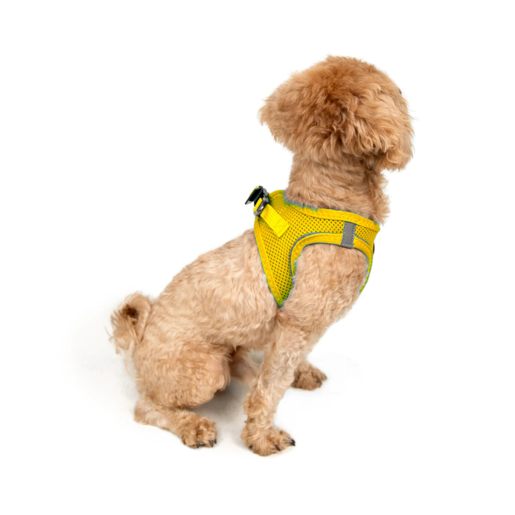 Tailpetz Air-Mesh Harness Köpek Göğüs Tasması (Sarı) [3XS]