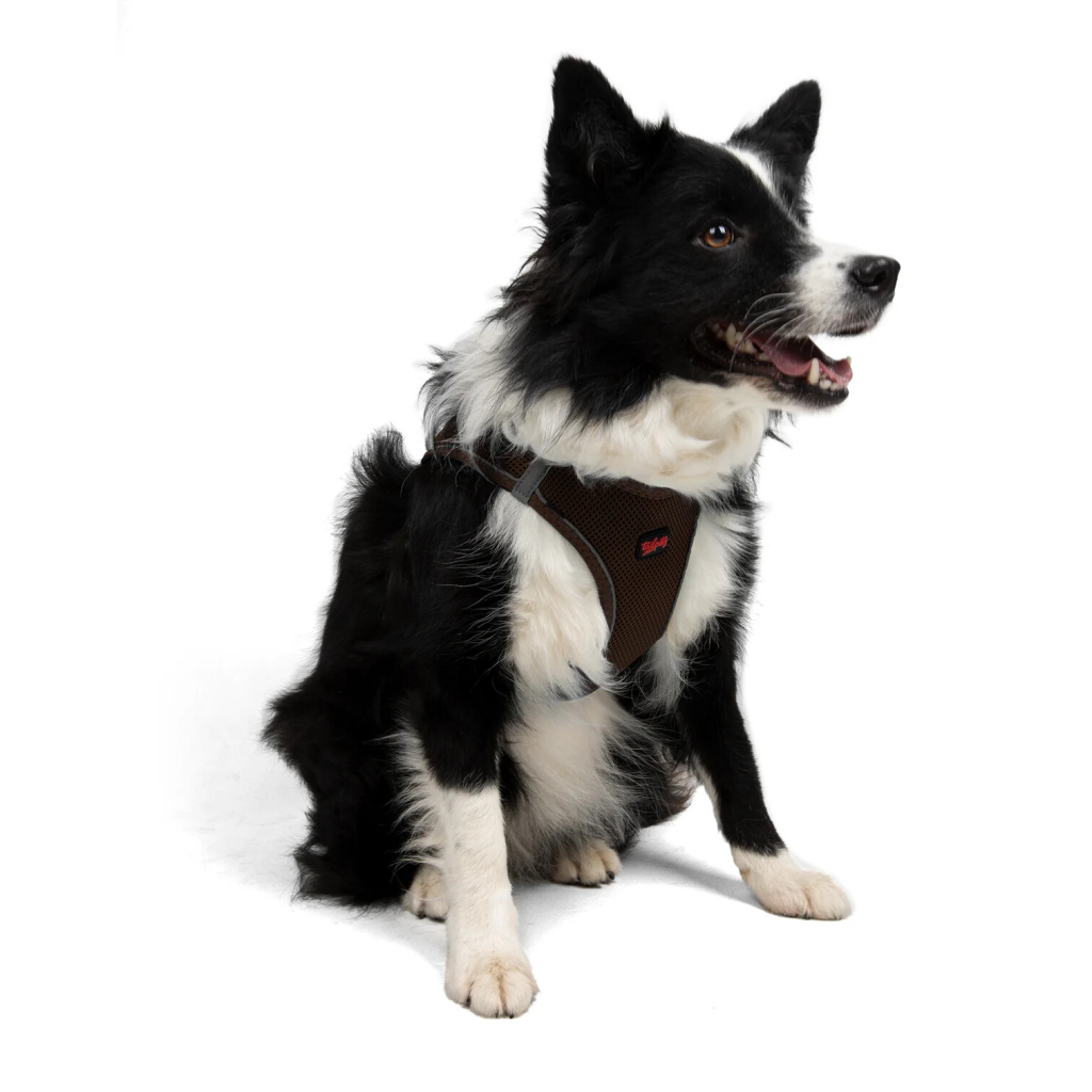 Tailpetz Air-Mesh Harness Köpek Göğüs Tasması (Kahverengi) [XL]