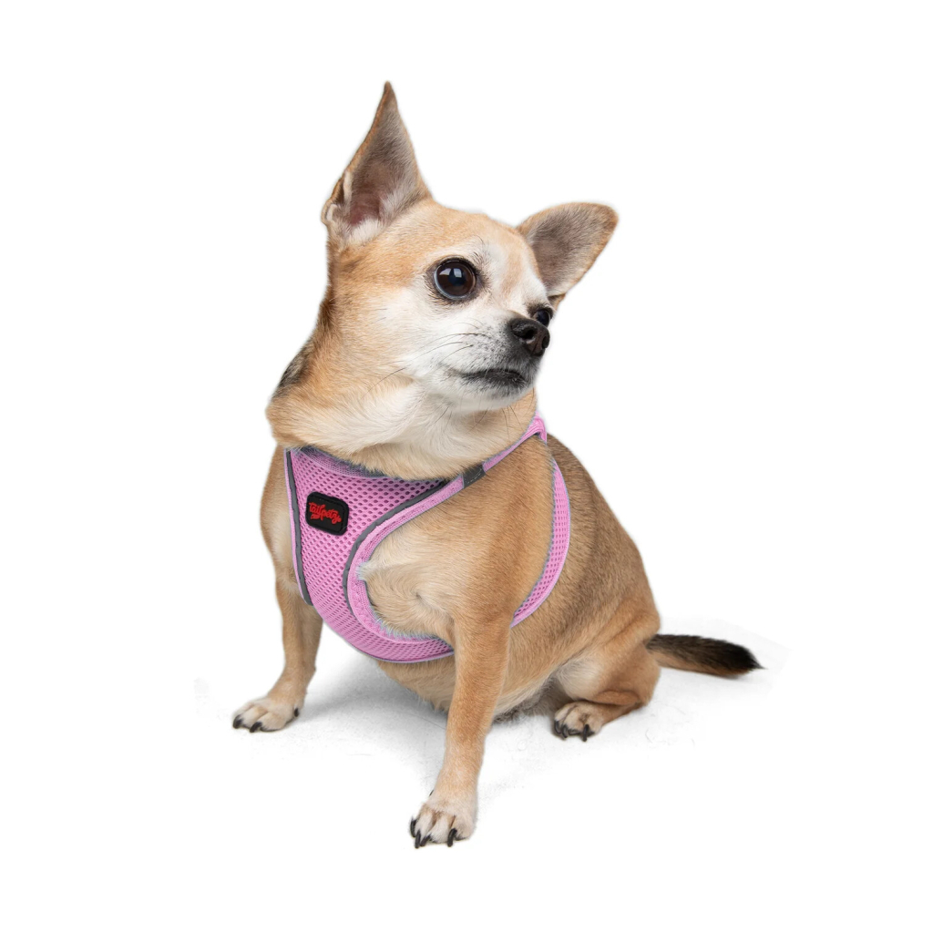 Tailpetz Air-Mesh Harness Köpek Göğüs Tasması (Lila) [3XS]