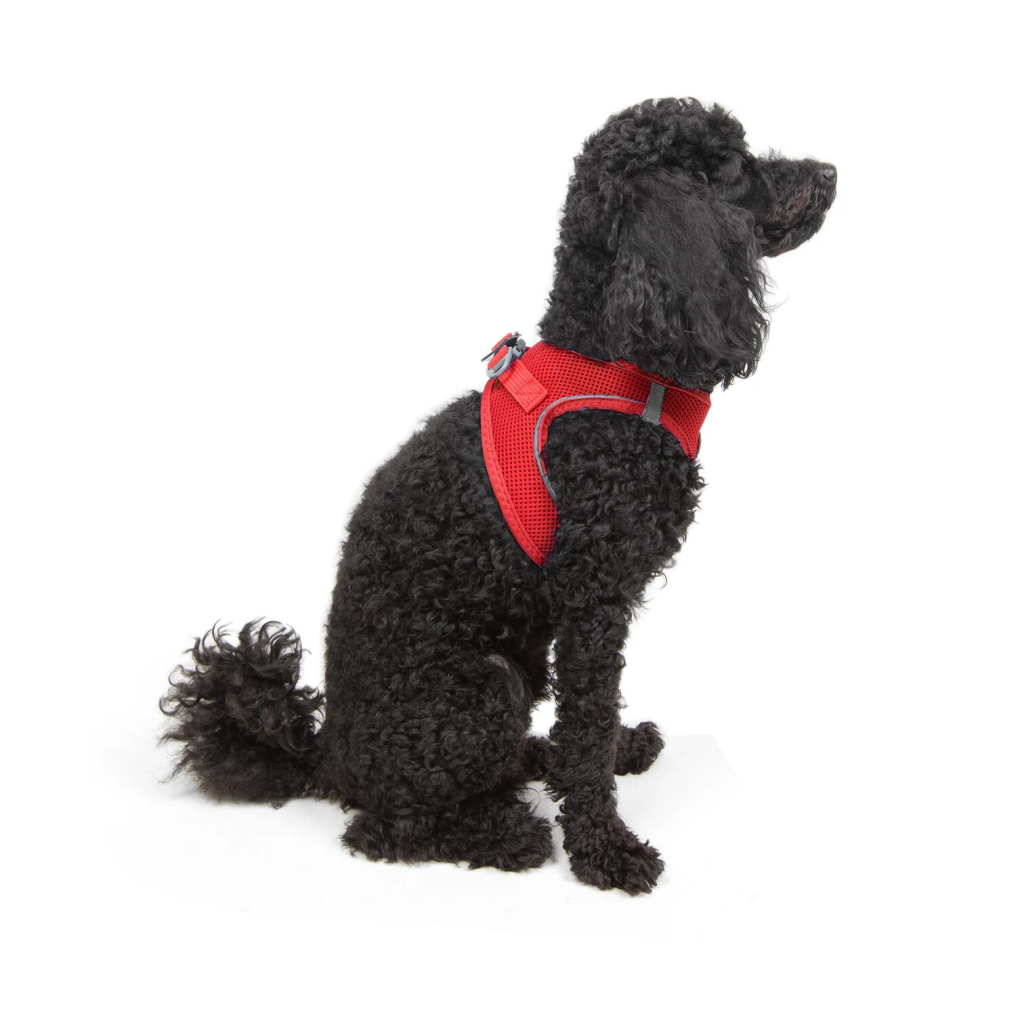 Tailpetz Air-Mesh Harness Garnet Köpek Göğüs Tasması [XS]