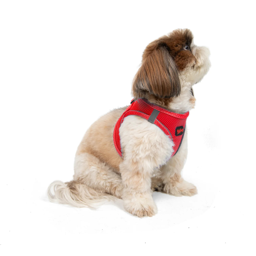Tailpetz Air-Mesh Harness Garnet Köpek Göğüs Tasması [S]