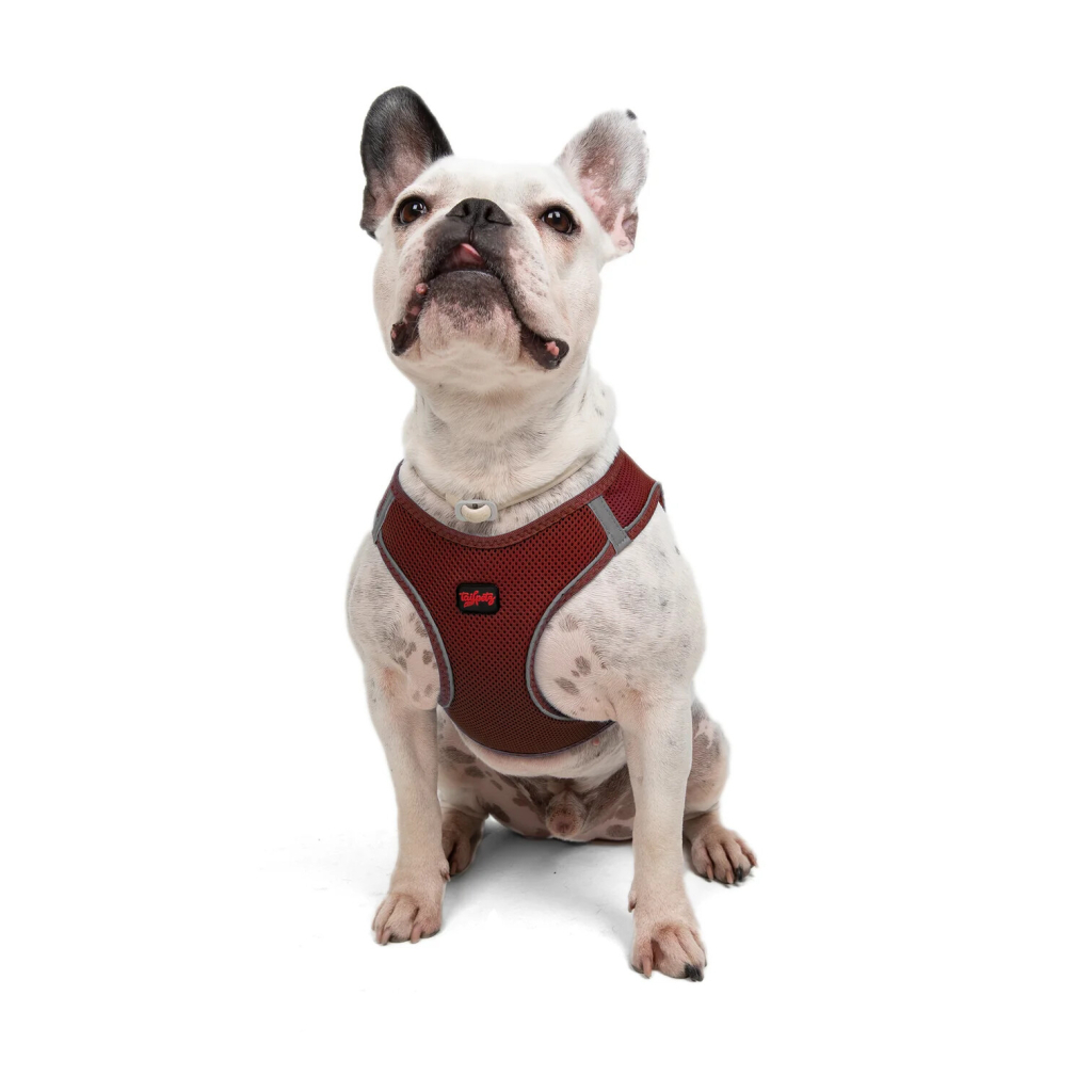 Tailpetz Air-Mesh Harness Claret Köpek Göğüs Tasması [L]