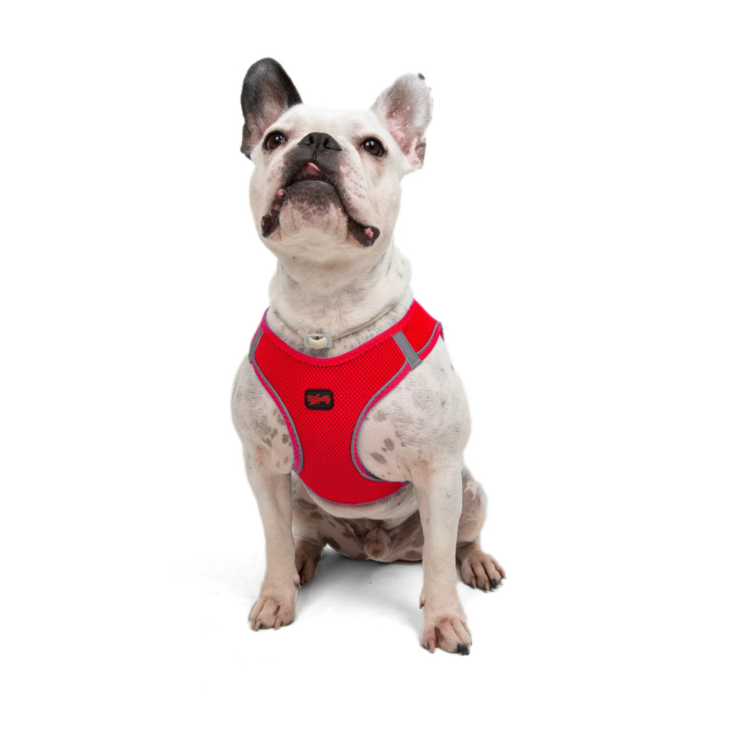 Tailpetz Air-Mesh Harness Garnet Köpek Göğüs Tasması [L]
