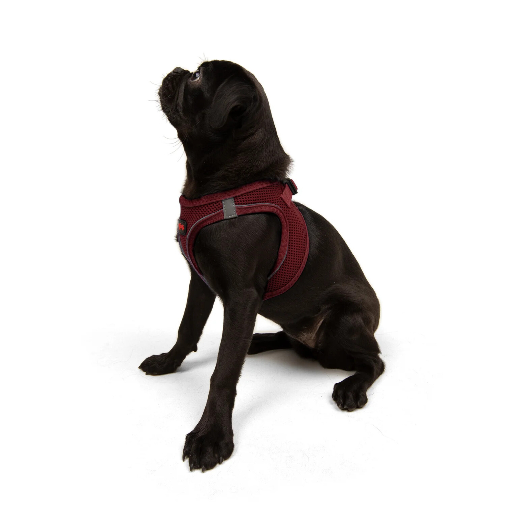 Tailpetz Air-Mesh Harness Claret Köpek Göğüs Tasması [M]