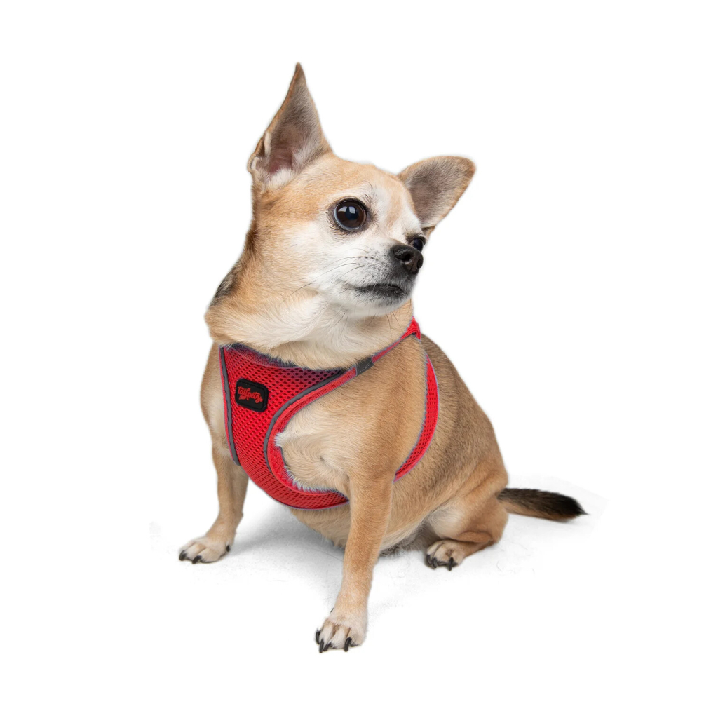 Tailpetz Air-Mesh Harness Garnet Köpek Göğüs Tasması [2XS]